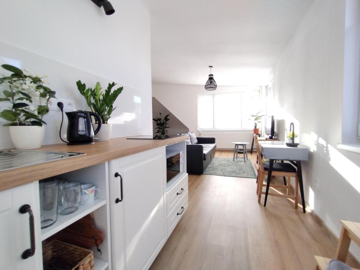 Attic Apartment Catnip ブラチスラヴァ エクステリア 写真