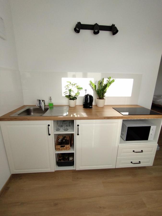 Attic Apartment Catnip ブラチスラヴァ エクステリア 写真